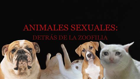 porno de animales|Tube de zoofilia de alta calidad: vídeos porno ...